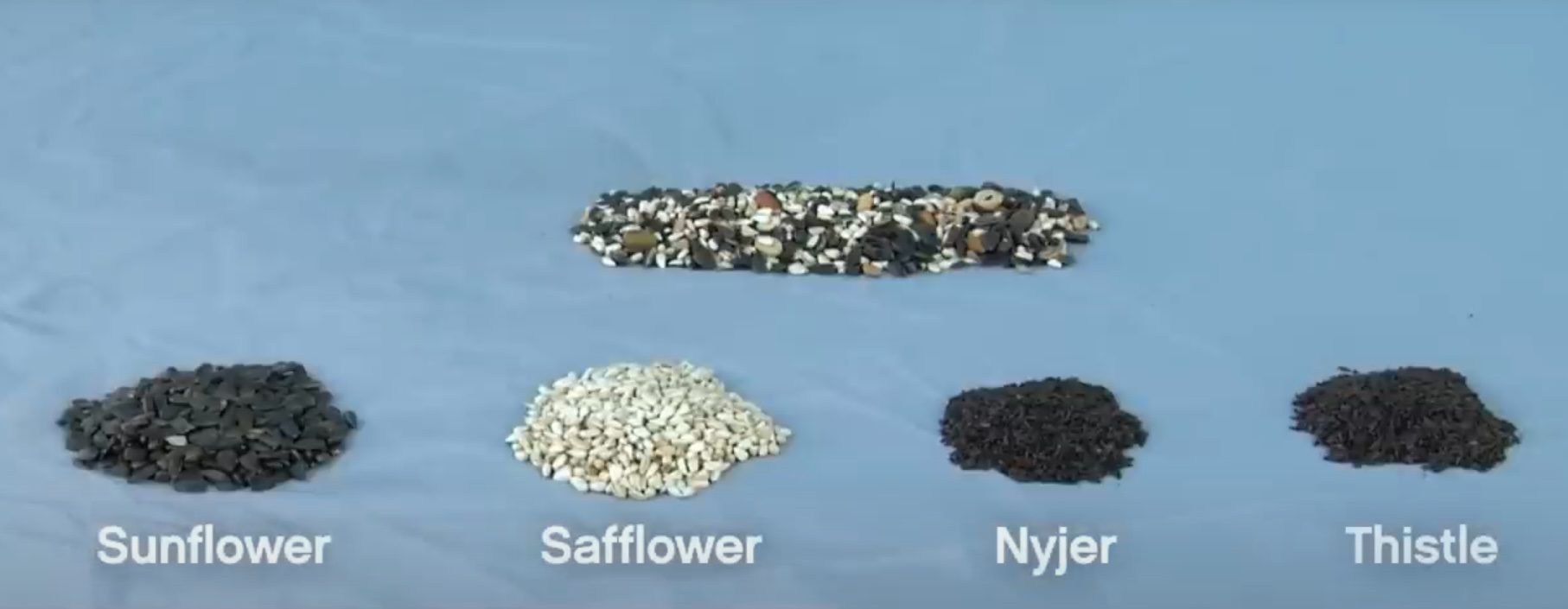 Different types of bird food displayed with names.