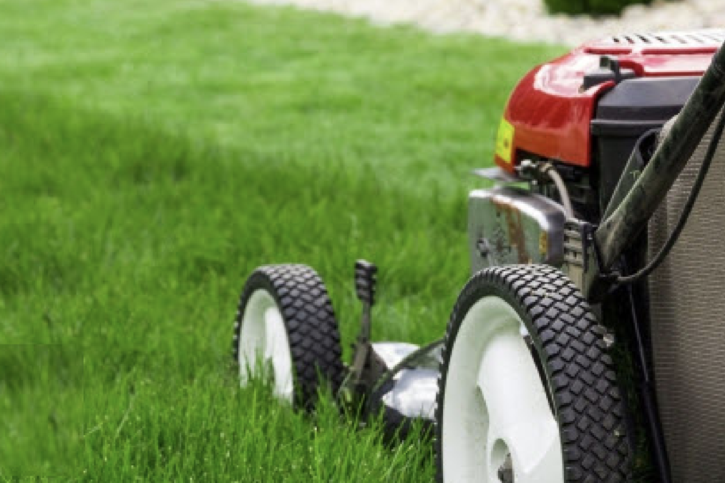 Mower cutting grass