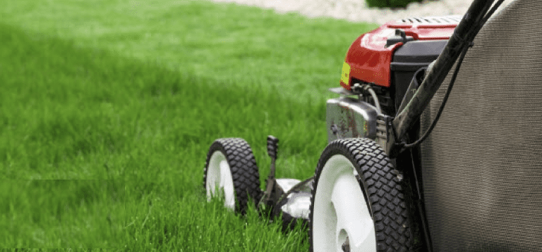 Mower cutting grass