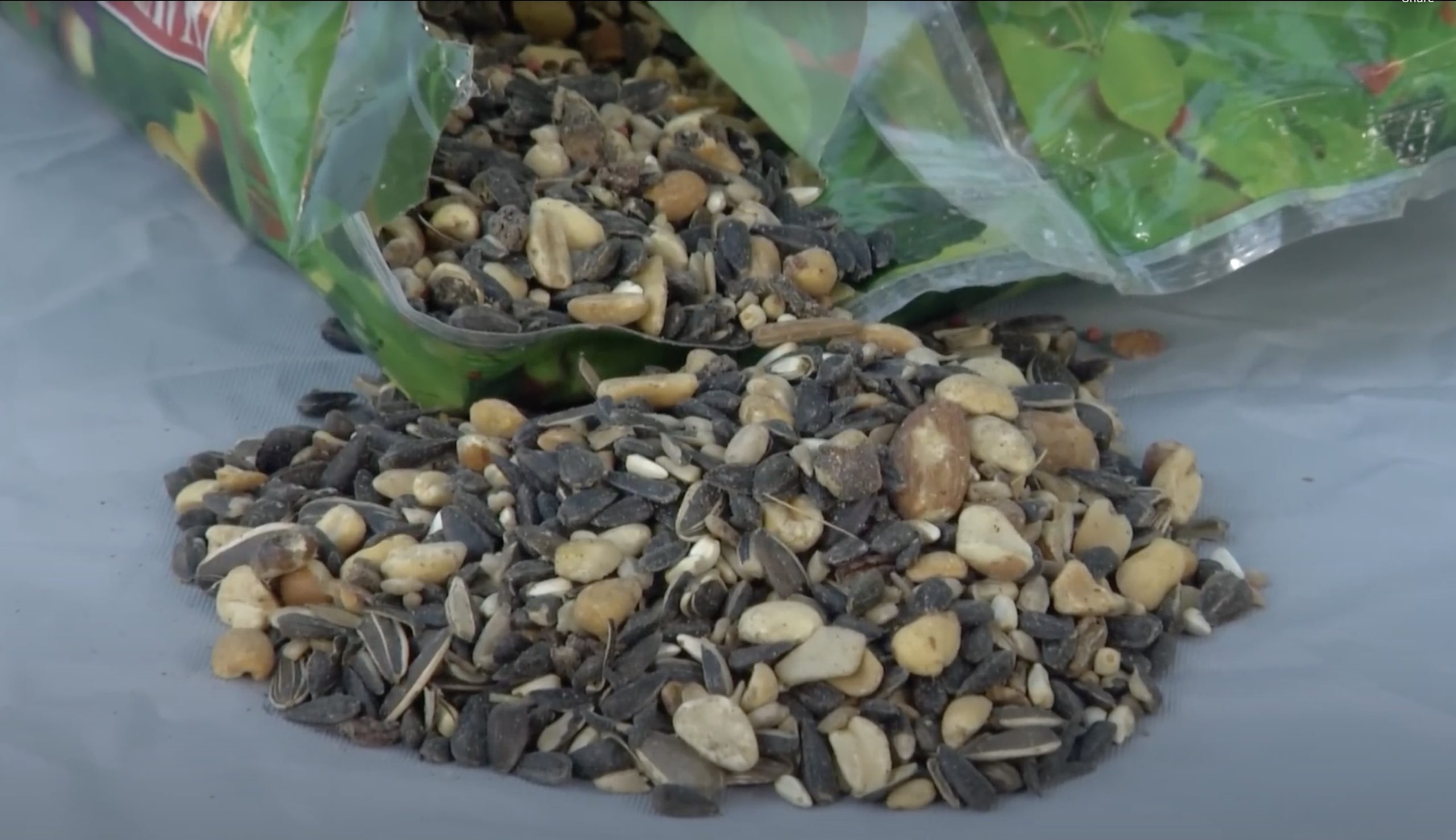 Bird food spilling out of bag.