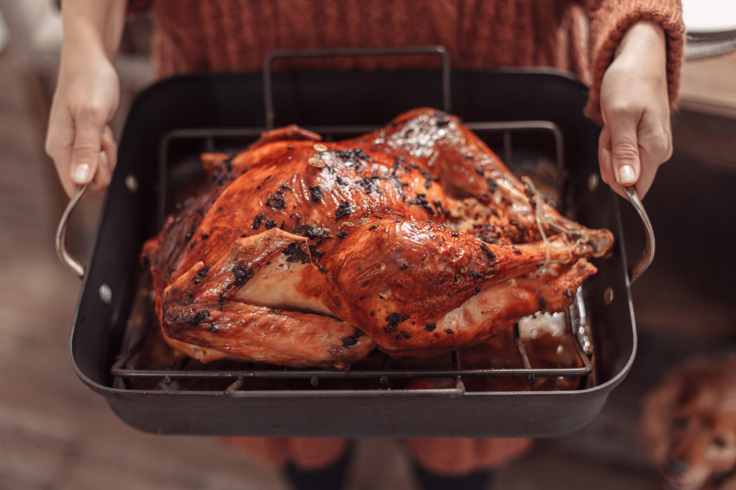 Someone holding a cooked turkey in a pan.
