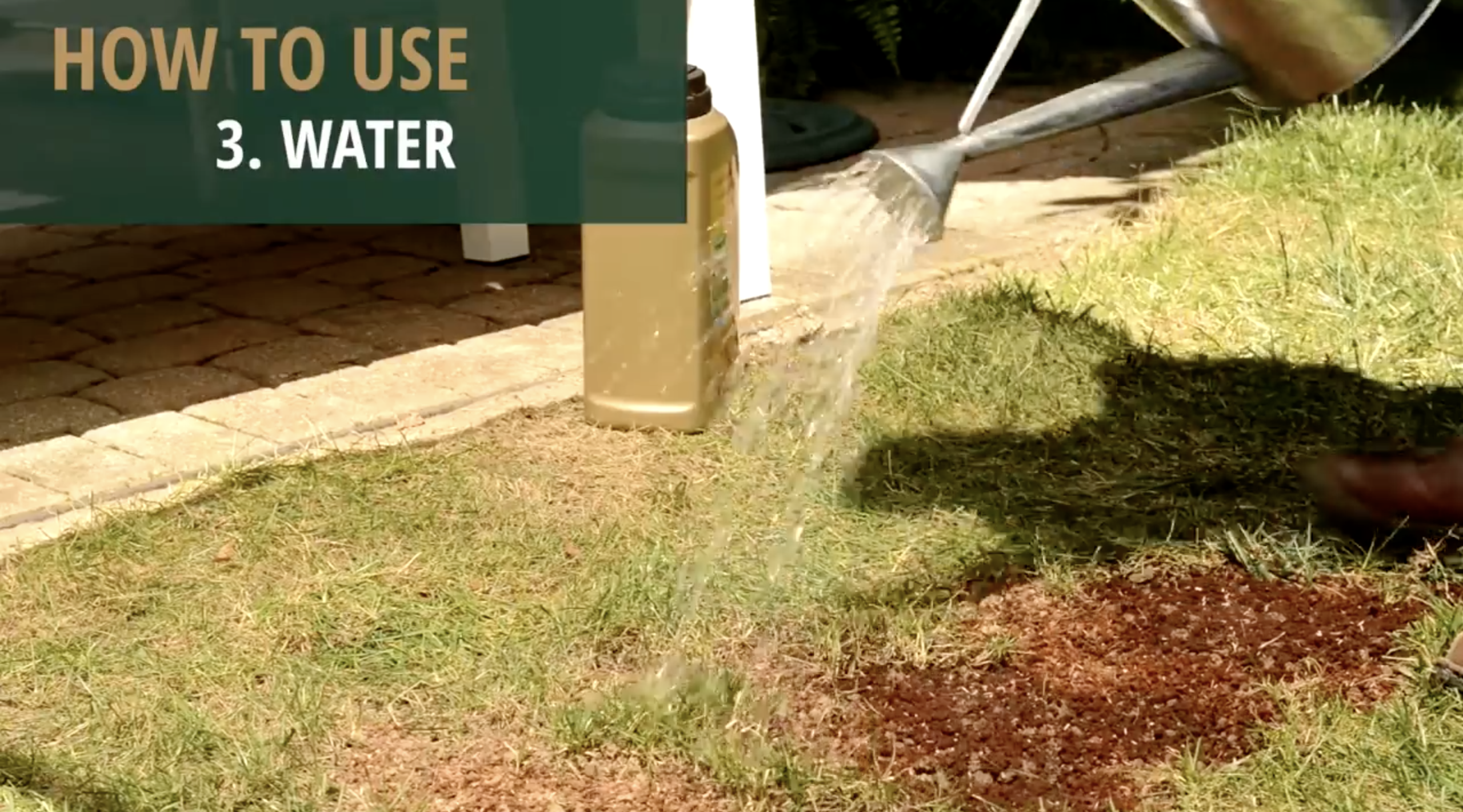 water the area