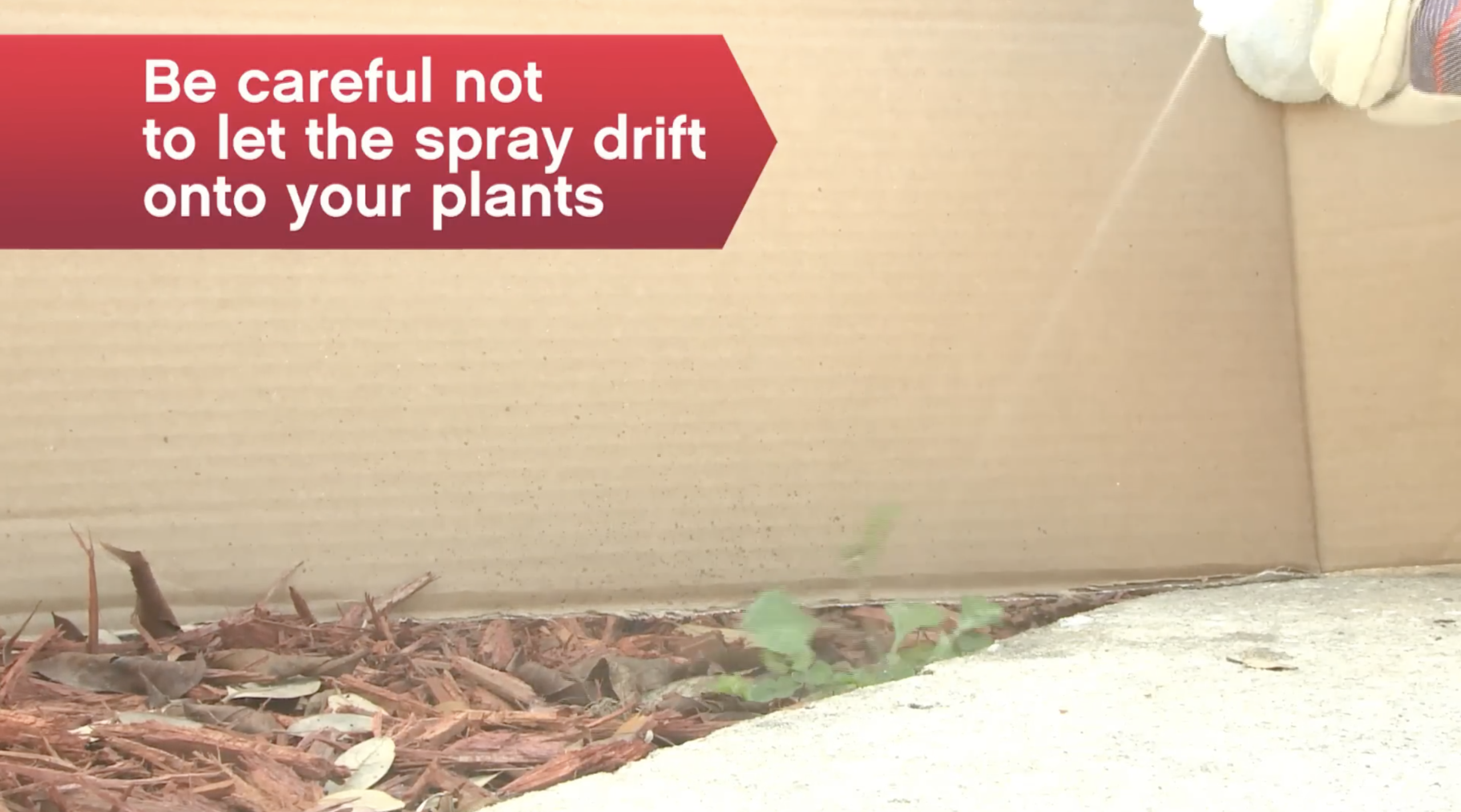 Block weed spray