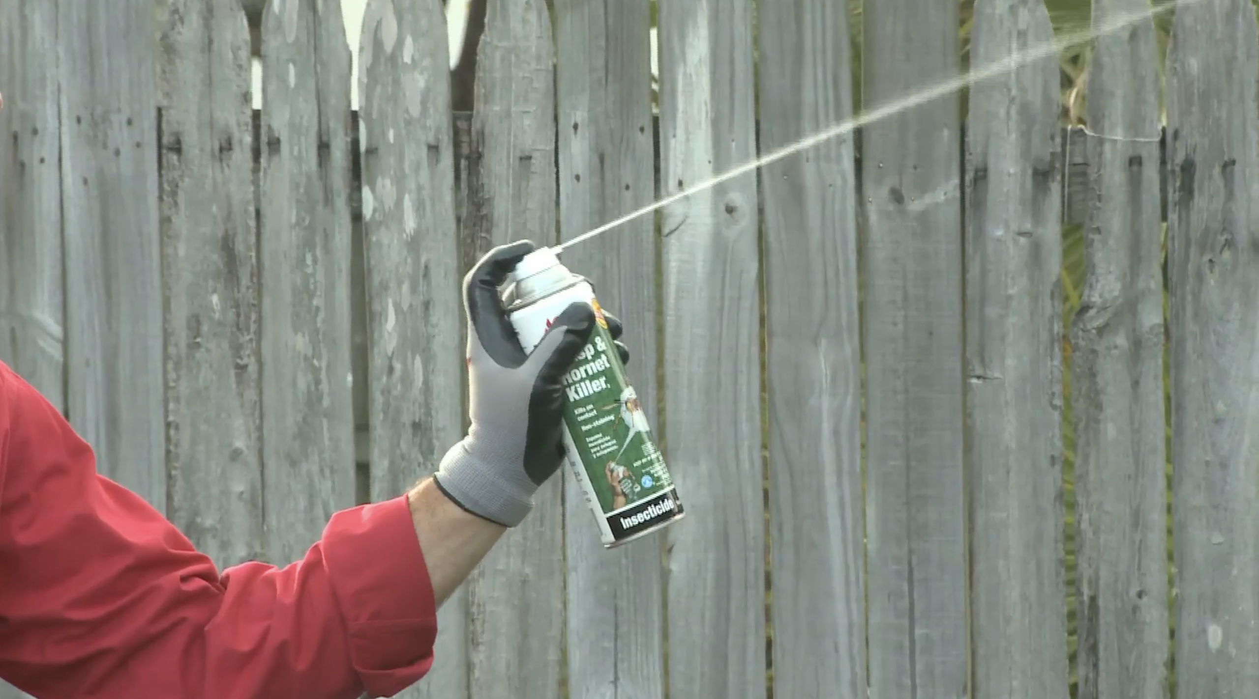 Wasp spray