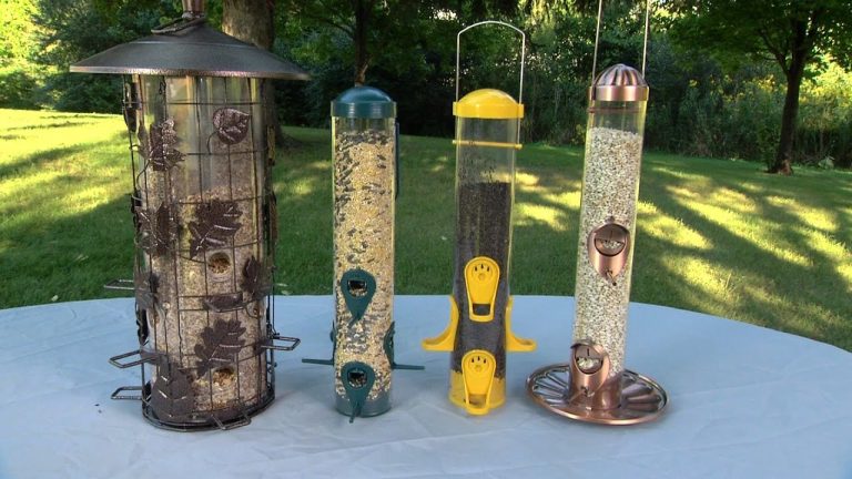 Bird feeders on a table